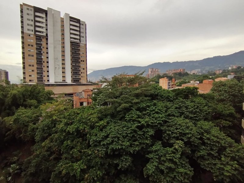 foto_105010_187_1565406410_ss.jpeg