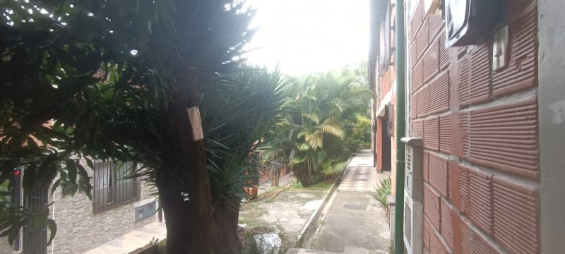 foto_105010_187_9920085251_ss.jpeg