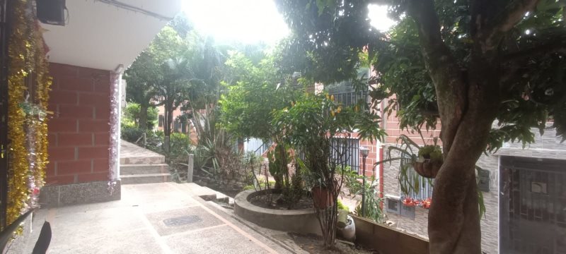 foto_105010_187_9923067952_ss.jpeg
