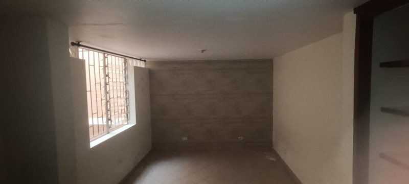 foto_105010_187_9937928971_ss.jpeg