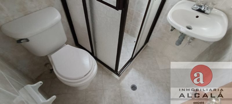 foto_30512_187_6054965496_ss.jpeg