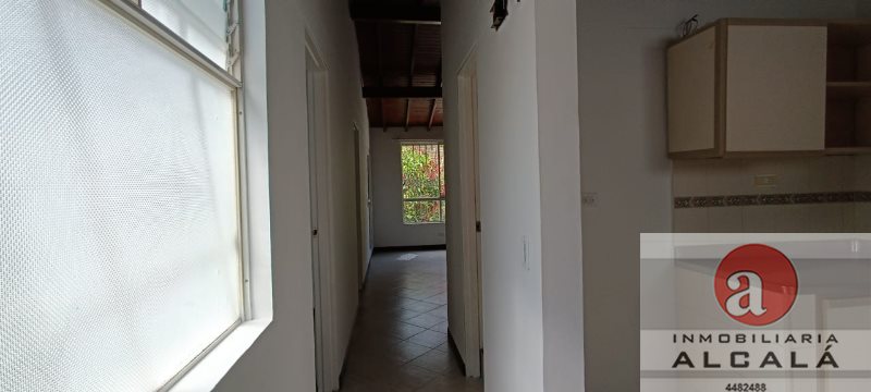 foto_30512_187_6062153783_ss.jpeg