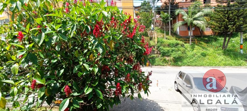 foto_30512_187_6071456008_ss.jpeg