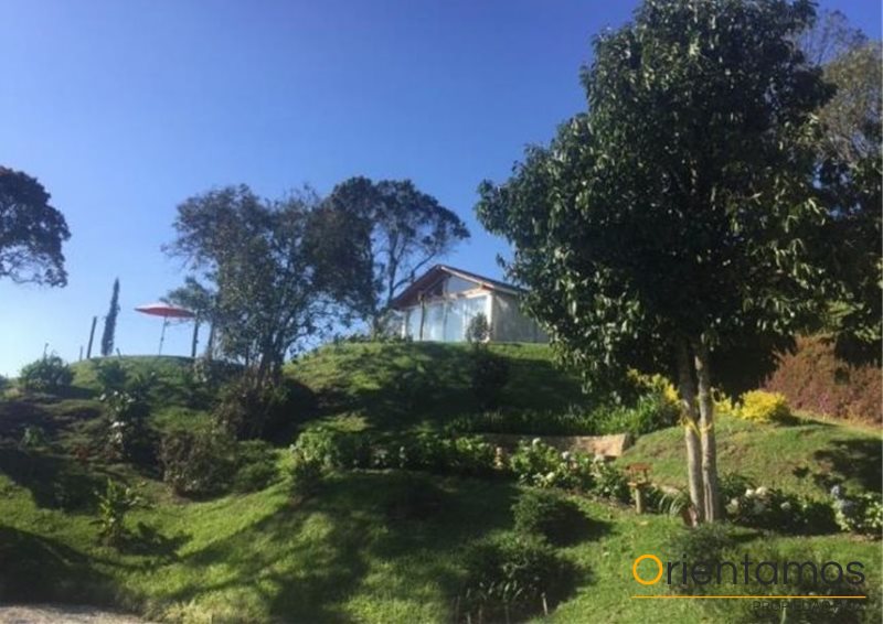 Finca disponible para el arriendo en Rionegro el codigo es 17192 foto numero 18