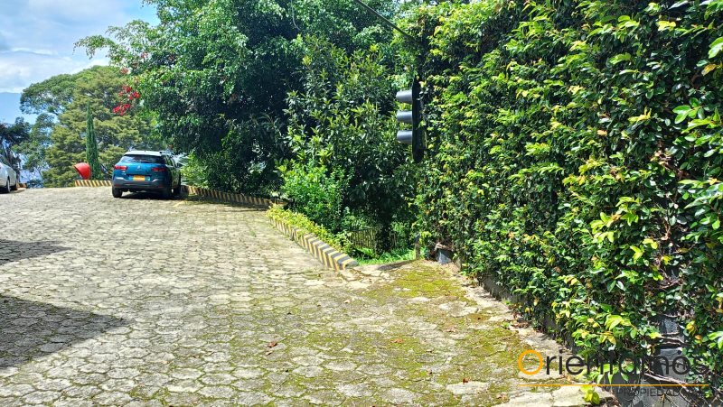 Local disponible para el arriendo en Medellín el codigo es 19702 foto numero 8
